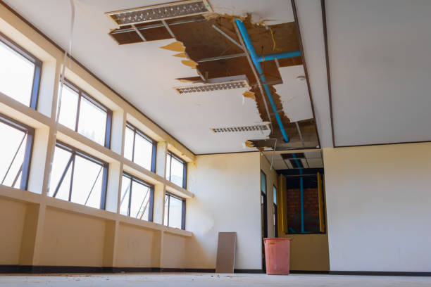 Best Water damage restoration near me  in Hawi, HI