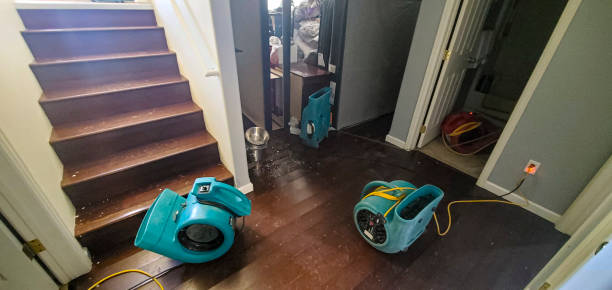 Best Emergency water damage restoration  in Hawi, HI