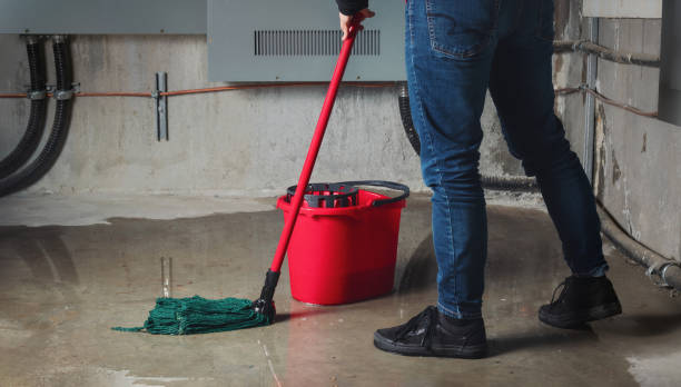 Best Water damage contractors near me  in Hawi, HI