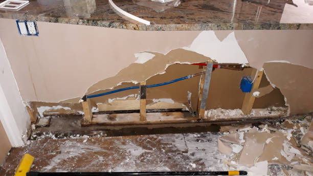 Best 24-hour water damage restoration  in Hawi, HI