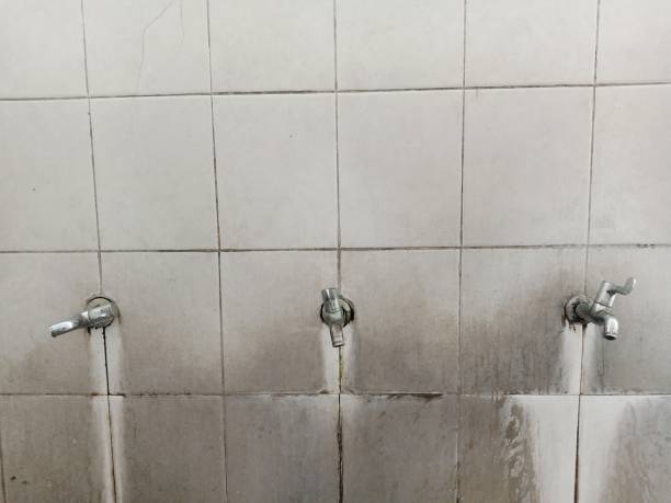Best Mold removal after water damage  in Hawi, HI