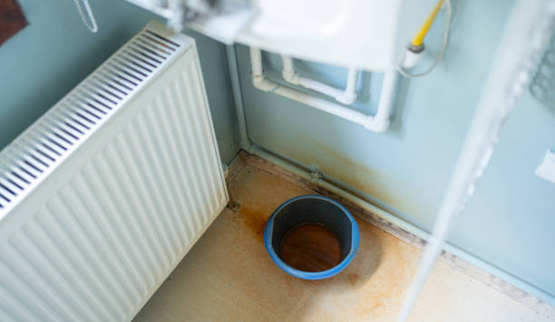 Water damage restoration insurance claims in Hawi, HI