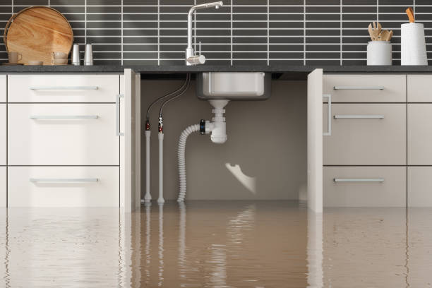 Best Mold removal after water damage  in Hawi, HI