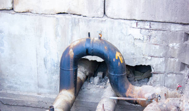 Best Sewage cleanup and water damage restoration  in Hawi, HI