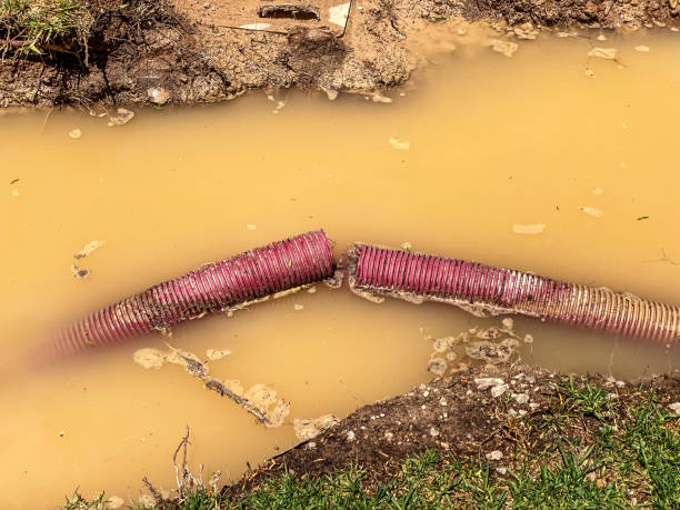  Hawi, HI Water damage restoration Pros