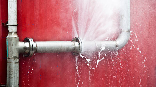 Best Ceiling water damage repair  in Hawi, HI
